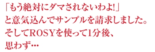 agos �r���[�e�B�[�N���j�b�N�������l�b�g